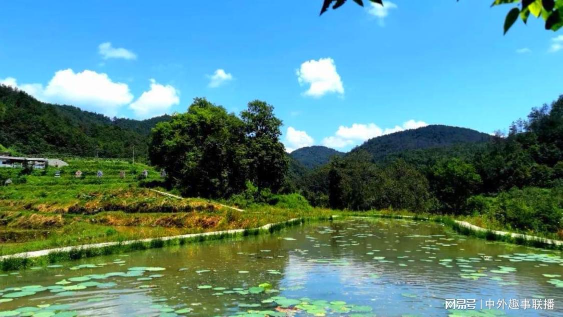 快手在线下单真人评论：评论互动助推短视频内容价值攀升