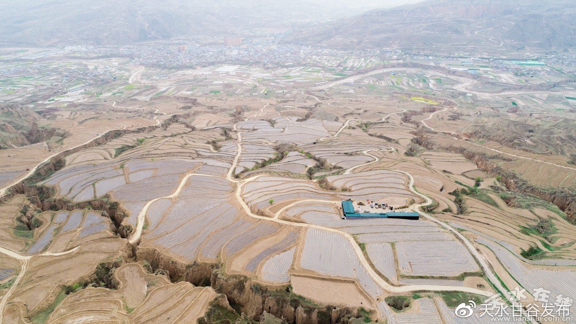 全民k歌买粉丝是真的吗：网红账号背后的涨粉真相_抖音秒双击自助下单免费